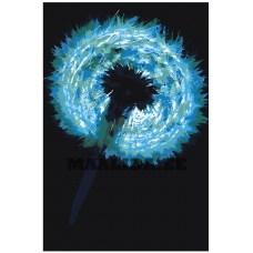 Maalid numbrite järgi F69