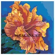 Maalid numbrite järgi F70