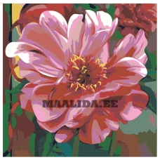 Maalid numbrite järgi F71