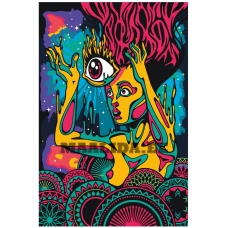 Maalid numbrite järgi FU13