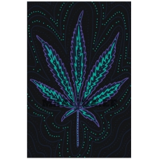 Maalid numbrite järgi FU22