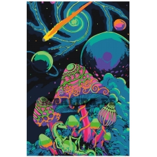 Maalid numbrite järgi FU25