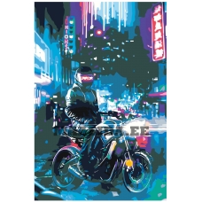 Maalid numbrite järgi FU53