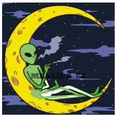 Maalid numbrite järgi FU64