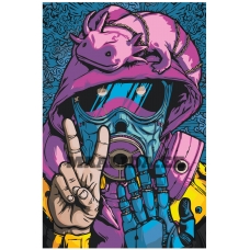 Maalid numbrite järgi FU69