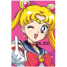 Maalid numbrite järgi FU91