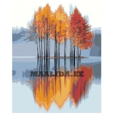 Maalid numbrite järgi IIIR-KIR401