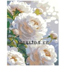 Maalid numbrite järgi IIIR-KIR566