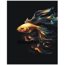 Maalid numbrite järgi IIIR-KRS301