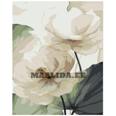 Maalid numbrite järgi IIIR-KSN079