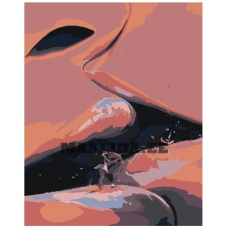 Maalid numbrite järgi IIIR-PVL708