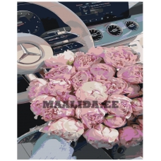 Maalid numbrite järgi IIIR-STP367