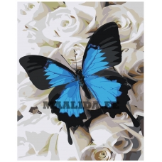 Maalid numbrite järgi IIIR-STP548