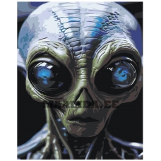 Maalid numbrite järgi IIIR-STP577