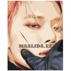 Maalid numbrite järgi K-POP1