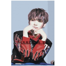 Maalid numbrite järgi K-POP5