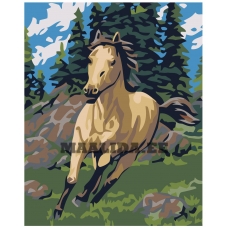 Maalid numbrite järgi KRYM-AN01