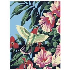 Maalid numbrite järgi KRYM-AN02