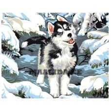 Maalid numbrite järgi KRYM-AN05