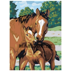 Maalid numbrite järgi KRYM-AN06