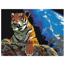 Maalid numbrite järgi KRYM-AN09