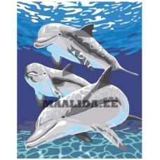 Maalid numbrite järgi KRYM-AN19