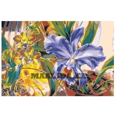 Maalid numbrite järgi KRYM-FL009