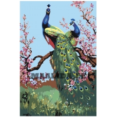 Maalid numbrite järgi KRYM-FN08