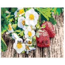 Maalid numbrite järgi KTMK-006956