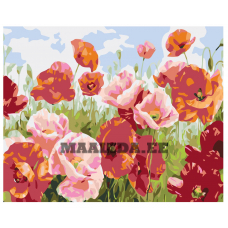 Maalid numbrite järgi KTMK-006957