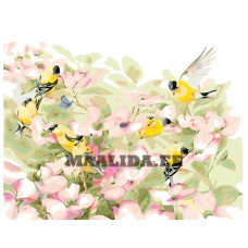 Maalid numbrite järgi KTMK-00695