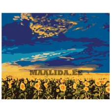 Maalid numbrite järgi KTMK-01836