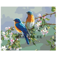 Maalid numbrite järgi KTMK-09352