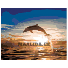 Maalid numbrite järgi KTMK-13385