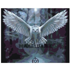 Maalid numbrite järgi KTMK-13823