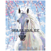 Maalid numbrite järgi KTMK-13941