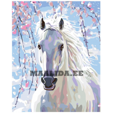 Maalid numbrite järgi KTMK-13941