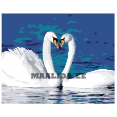 Maalid numbrite järgi KTMK-15975