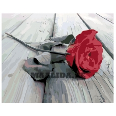 Maalid numbrite järgi KTMK-2474861