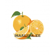 Maalid numbrite järgi KTMK-25626