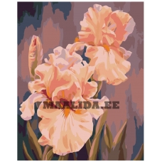 Maalid numbrite järgi KTMK-26741