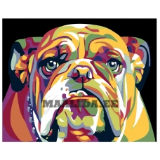 Maalid numbrite järgi KTMK-32158