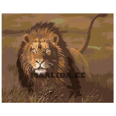 Maalid numbrite järgi KTMK-32548