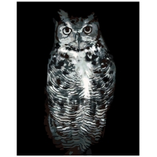 Maalid numbrite järgi KTMK-351311