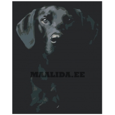 Maalid numbrite järgi KTMK-351312