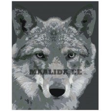 Maalid numbrite järgi KTMK-351313