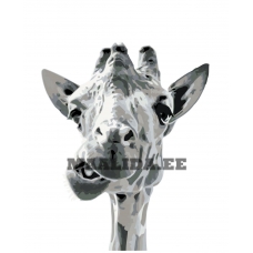 Maalid numbrite järgi KTMK-351314