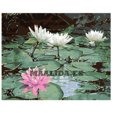 Maalid numbrite järgi KTMK-36303