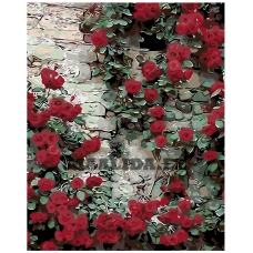 Maalid numbrite järgi KTMK-36379