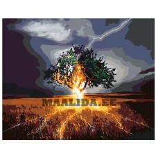 Maalid numbrite järgi KTMK-38297